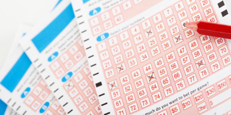 Bí pháp nuôi cược ngon lành chưa ai mách bạn