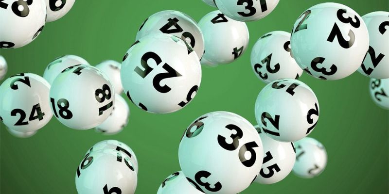 Các loại dàn đề được ưa chuộng